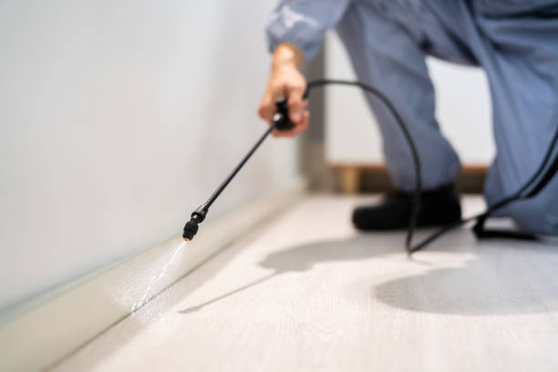 Certified termite inspector examining foundation in Lakesite