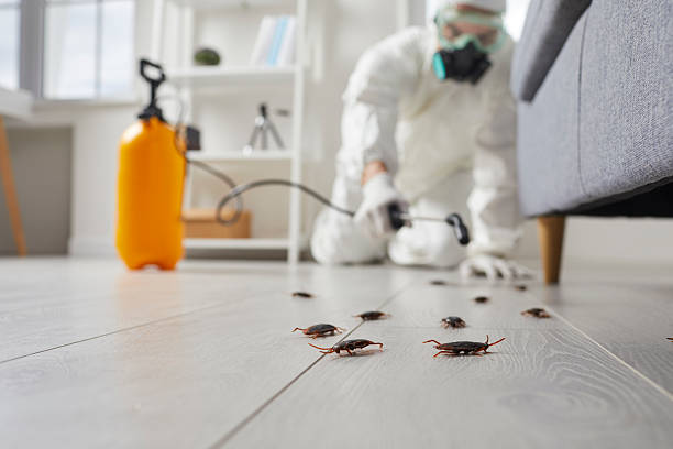 Post-Treatment Bed Bug Interceptor Monitoring in Lakesite