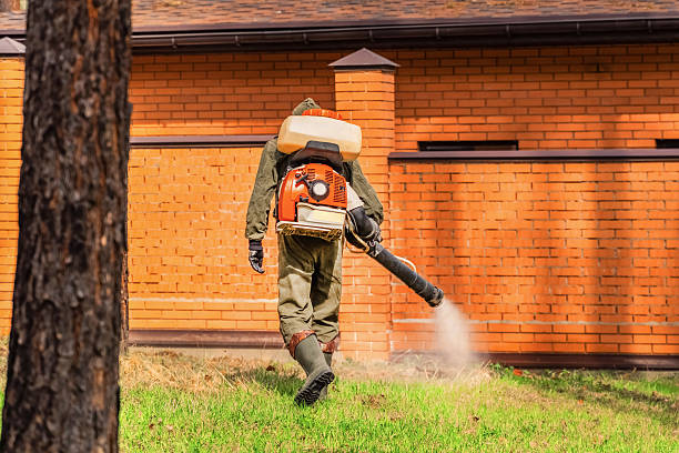 Bed Bug Clearance Verification and Documentation in Lakesite